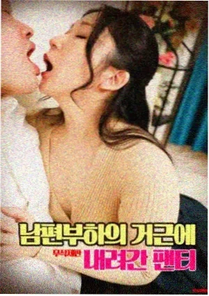极光之舞 电影 2024